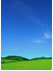 Contact Thumbnail